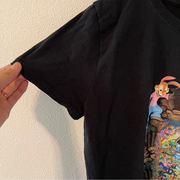 Disney Splash Mountain Fruit of Loom Short Sleeve Crewneck Graphic Tee Black-L - Picture 5 of 7